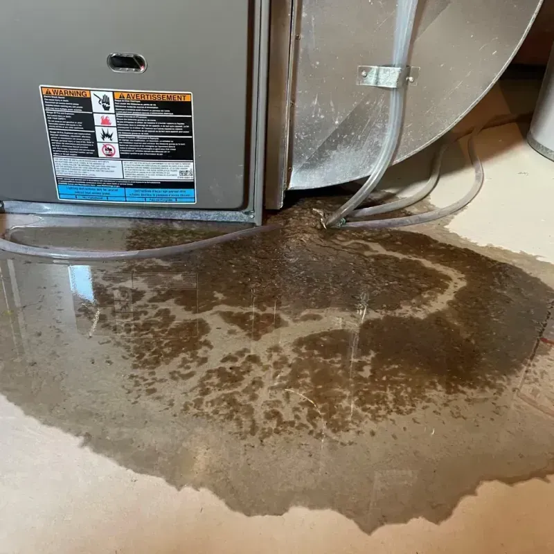 Appliance Leak Cleanup in Bunker Hill, OR